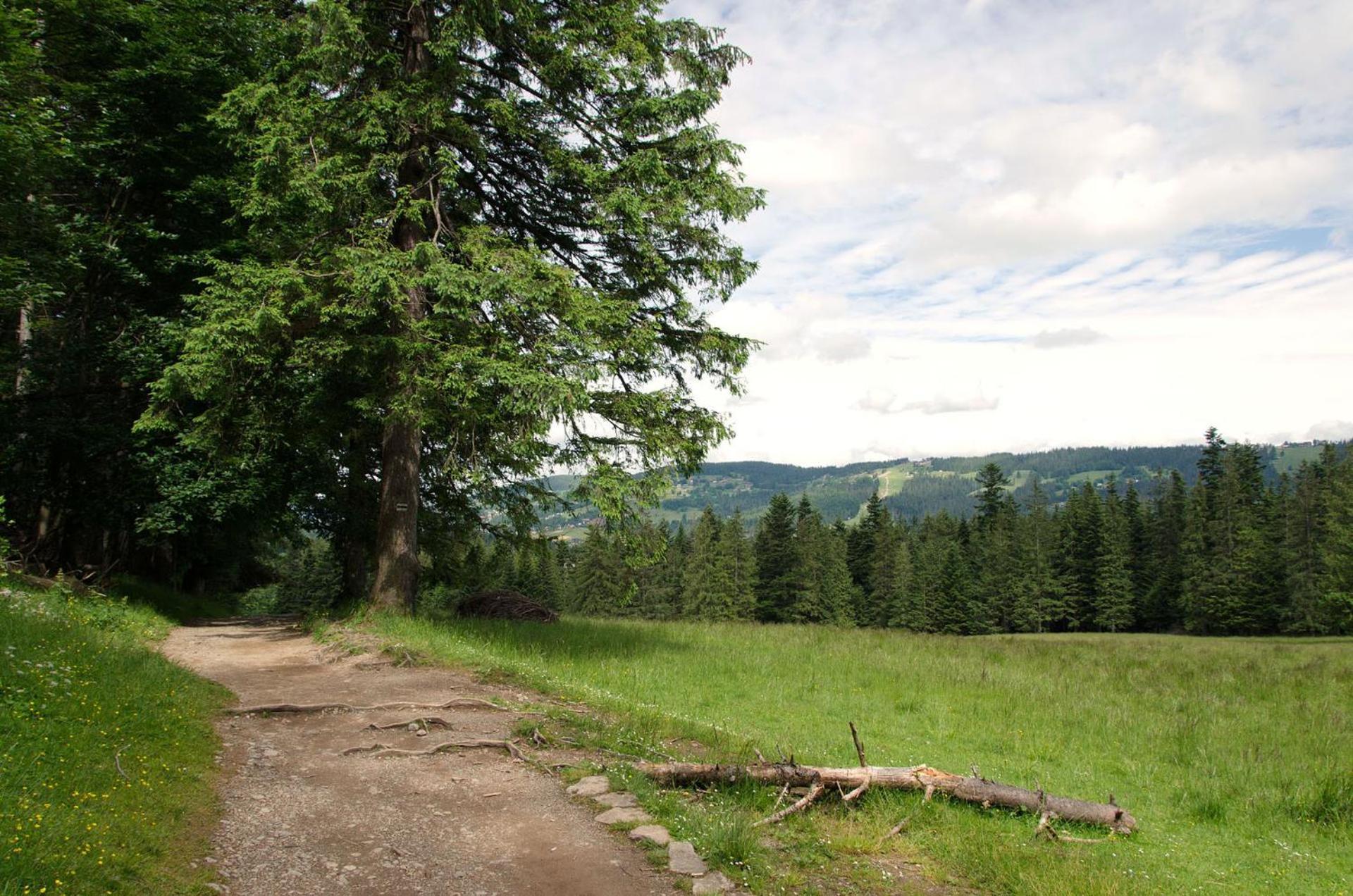 Chalet Sekret Zakopane